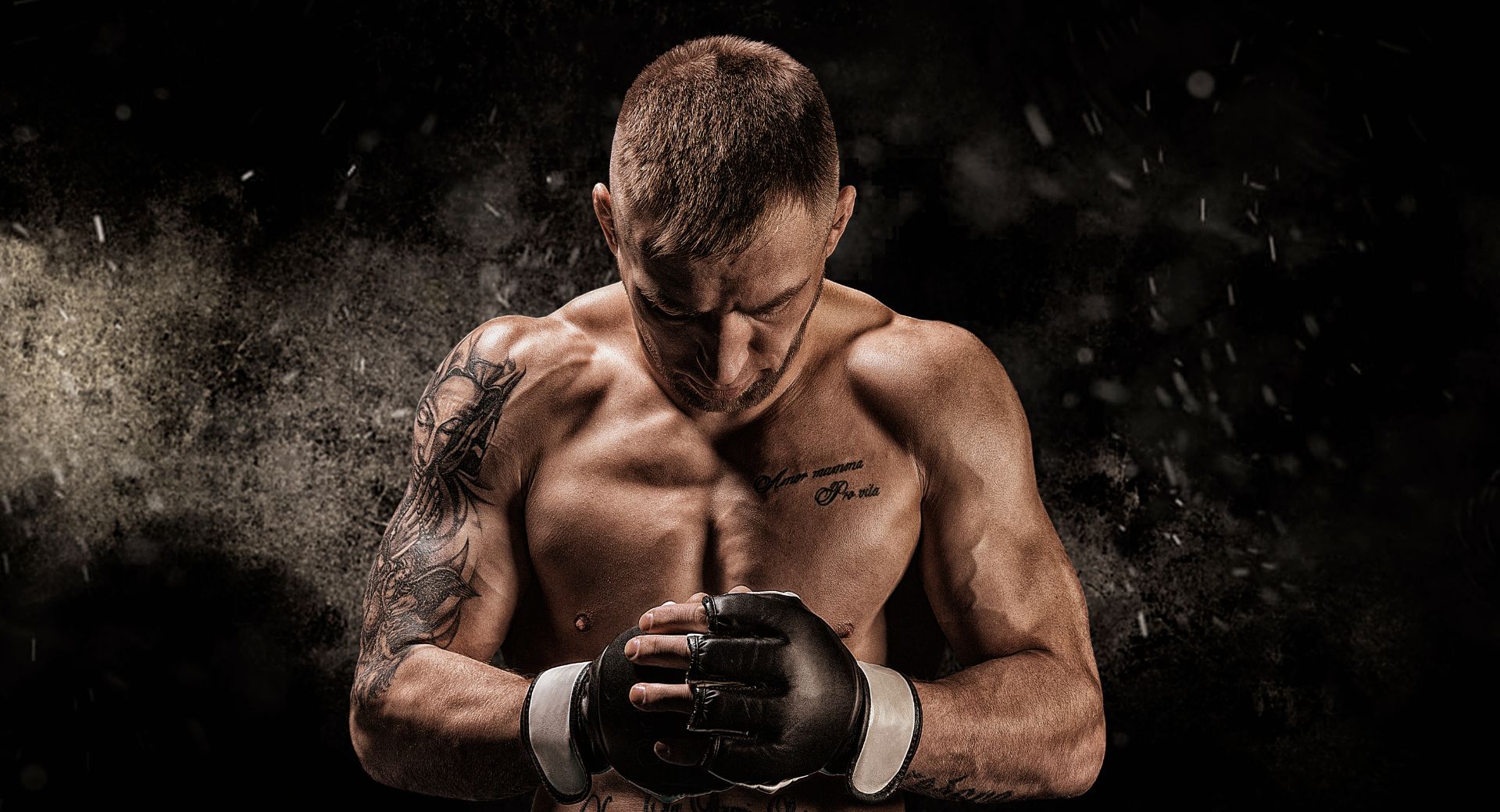 UFC banner